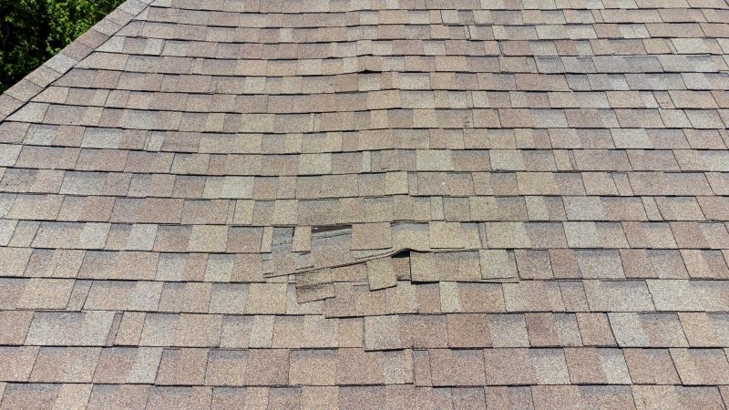 Asphalt Roof Inspection in Clear Creek County, CO