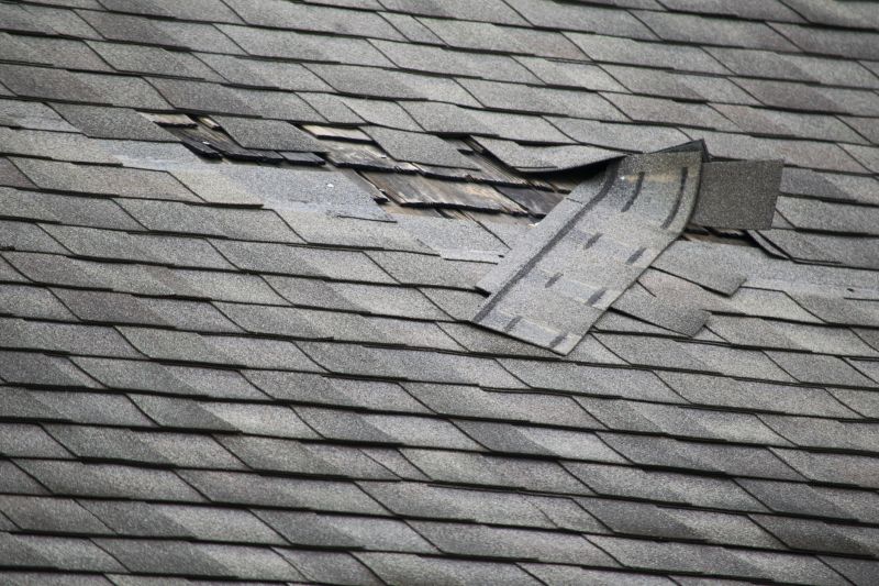 Asphalt Roof Leak Repair in Louisville, CO
