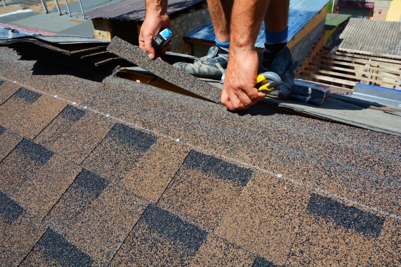 Asphalt Roof Repair in Nederland, CO