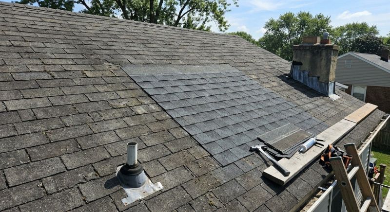 Asphalt Roof Repair in Park County, CO