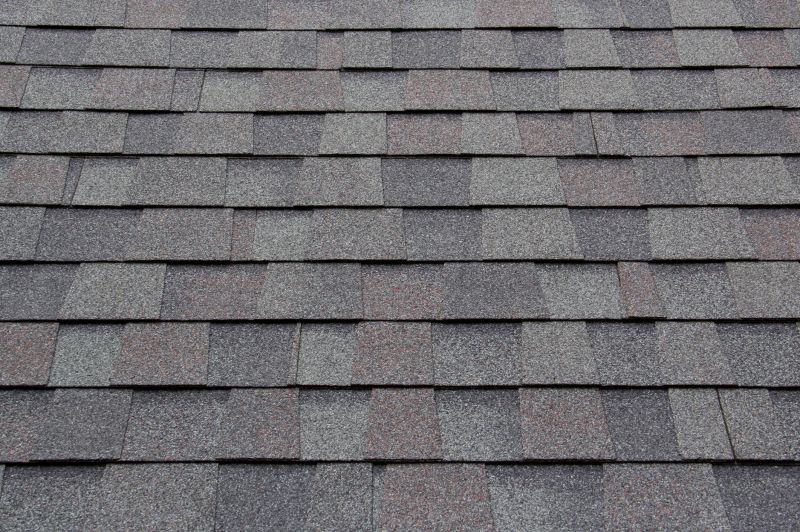 Asphalt Shingles Installation in Wheat Ridge, CO