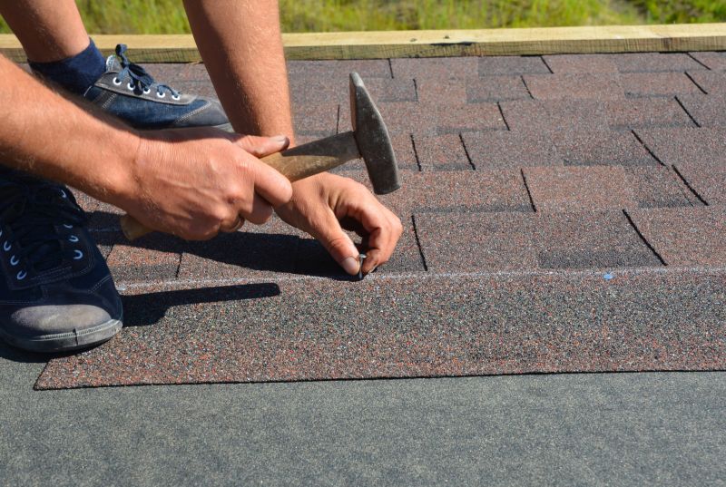 Asphalt Shingles Repair in Denver County, CO