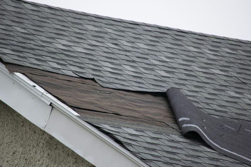 Asphalt Shingles Repair in Gilpin County, CO