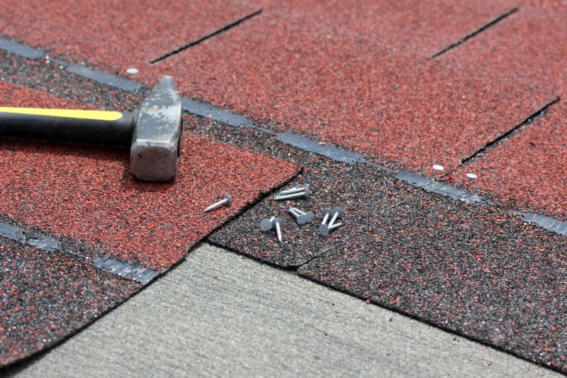 Asphalt Shingles Repair in Park County, CO