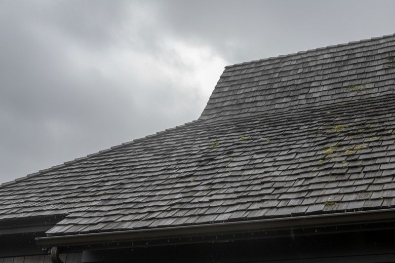 Cedar Shingles Replacement in Commerce City, CO