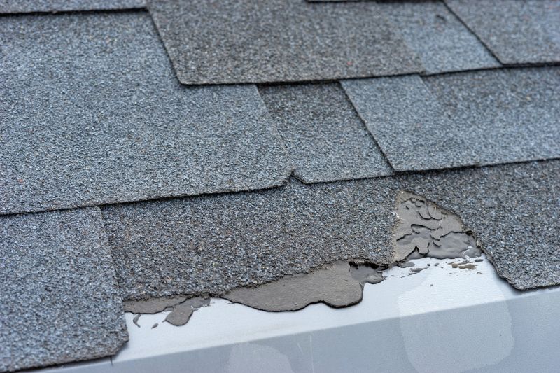 Damaged Roof Repair in Golden, CO