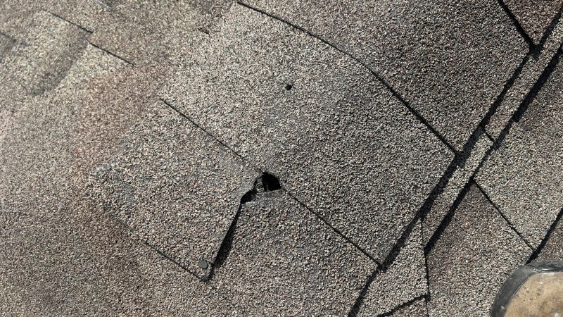 Damaged Roof Repair in Golden, CO