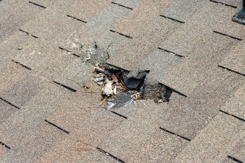 Damaged Roof Replacement in Jefferson County, CO