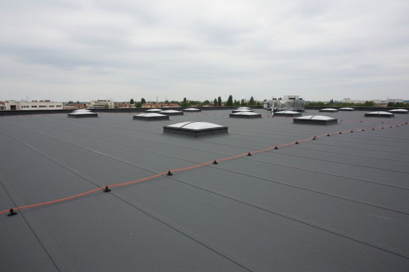 Flat Roof Replacement in Park County, CO