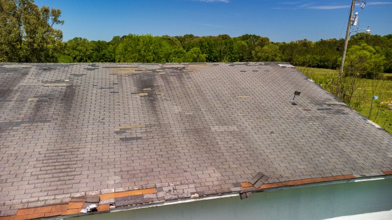 Hail Damage Roof Repair in Westminster, CO