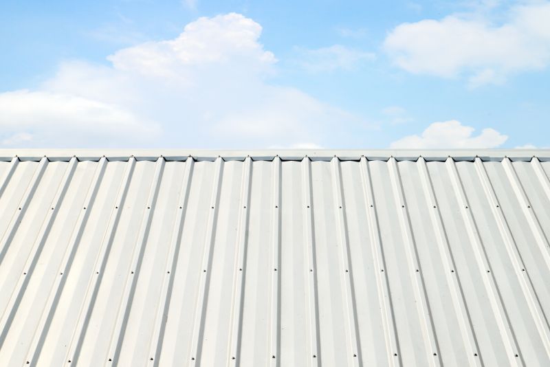 Metal Roof Coating Service in Golden, CO