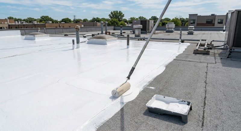 Metal Roof Coating Service in Golden, CO