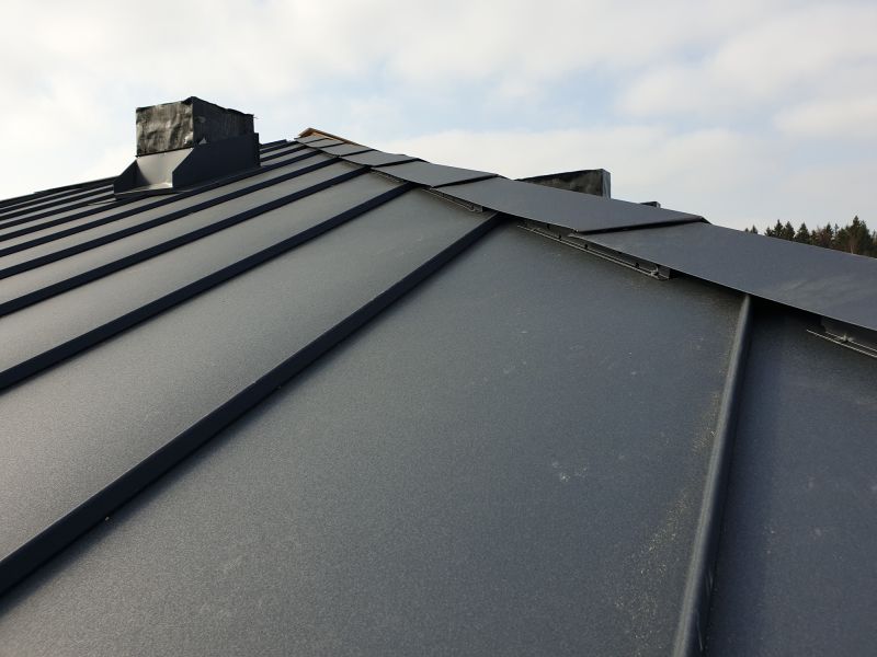 Metal Roof Sealing in Golden, CO