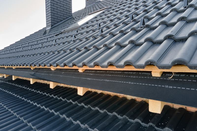 Roof Construction in Park County, CO