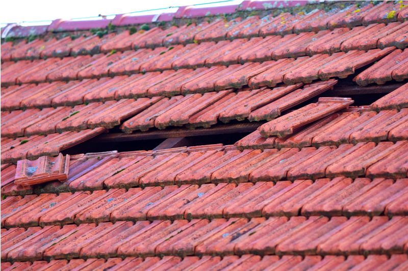 Roof Damage Inspection in Jefferson County, CO