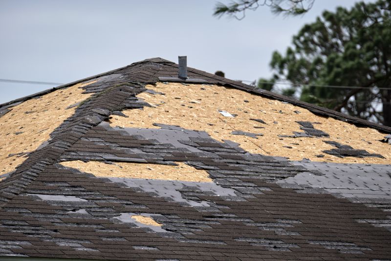 Roof Damage Repair in Douglas County, CO