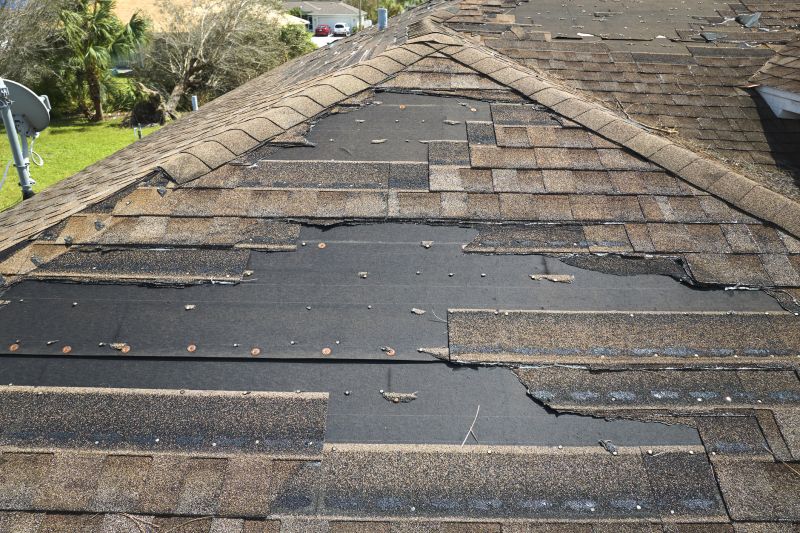Roof Hail Damage Repair in Golden, CO