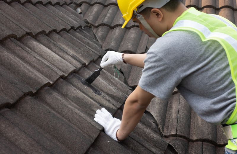 Roof Patching Service in Golden, CO