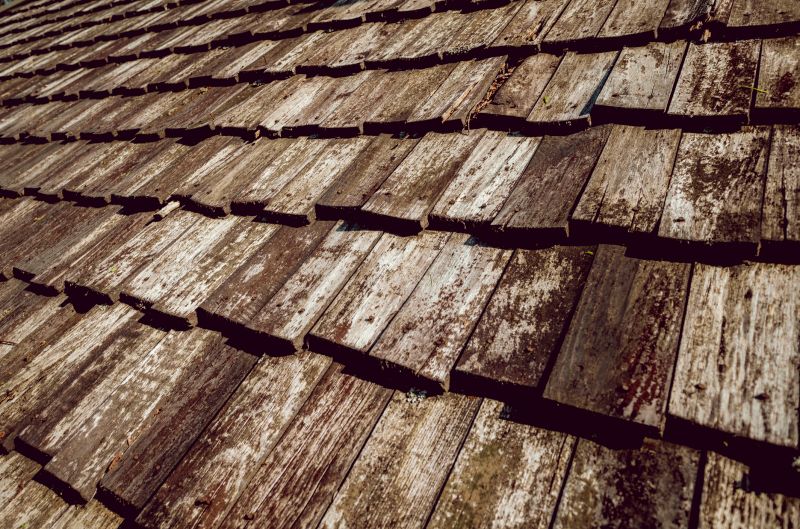 Shake Roof Replacement in Conifer, CO