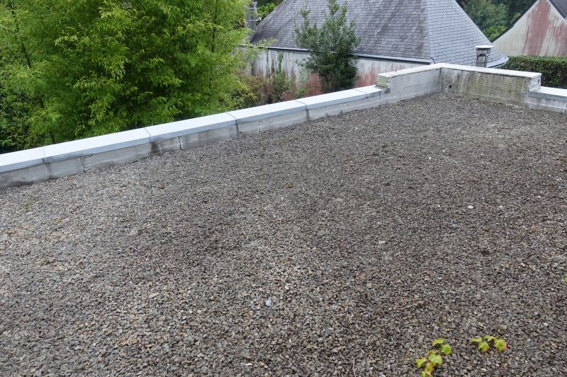 Tar And Gravel Roof Repair in Nederland, CO