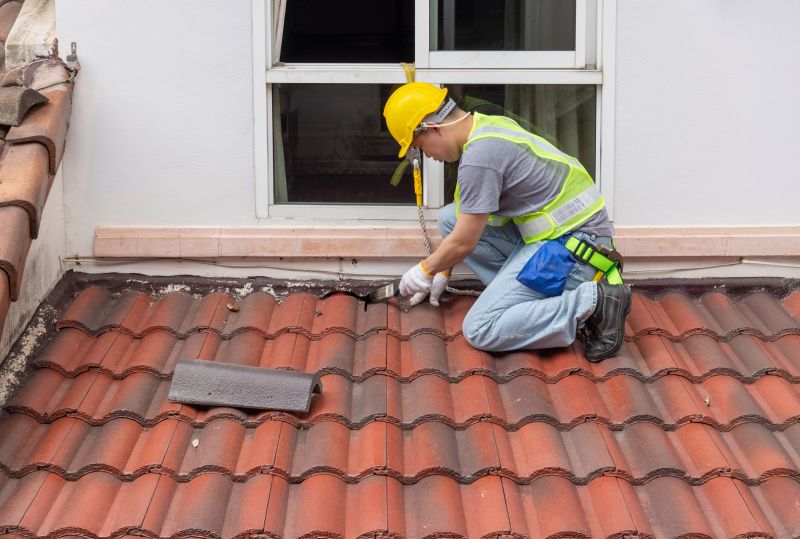 Tar Roof Repair in Douglas County, CO