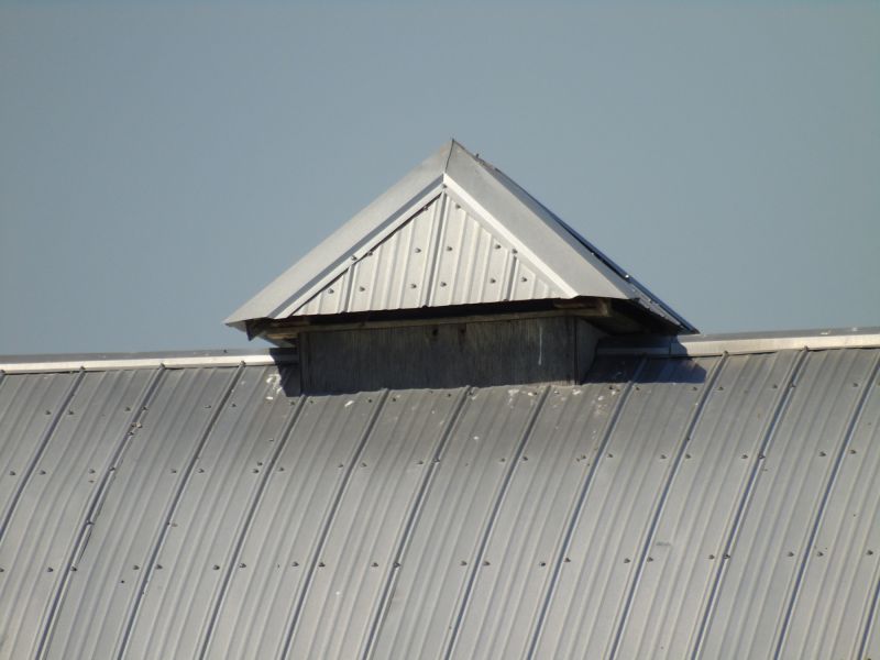 Tin Roof Installation in Denver County, CO