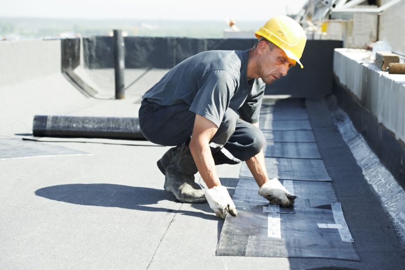 Tpo Roof Repair in Nederland, CO