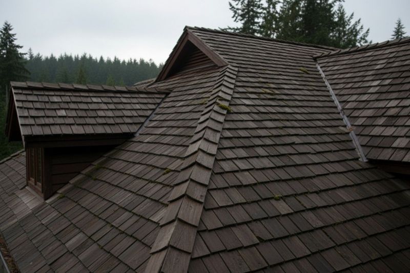 Wood Shake Roof Replacement in Arapahoe County, CO