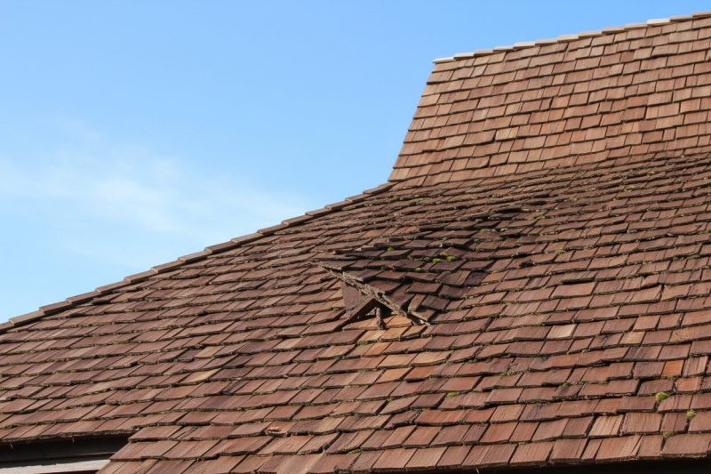 Wood Shake Roof Replacement in Denver County, CO
